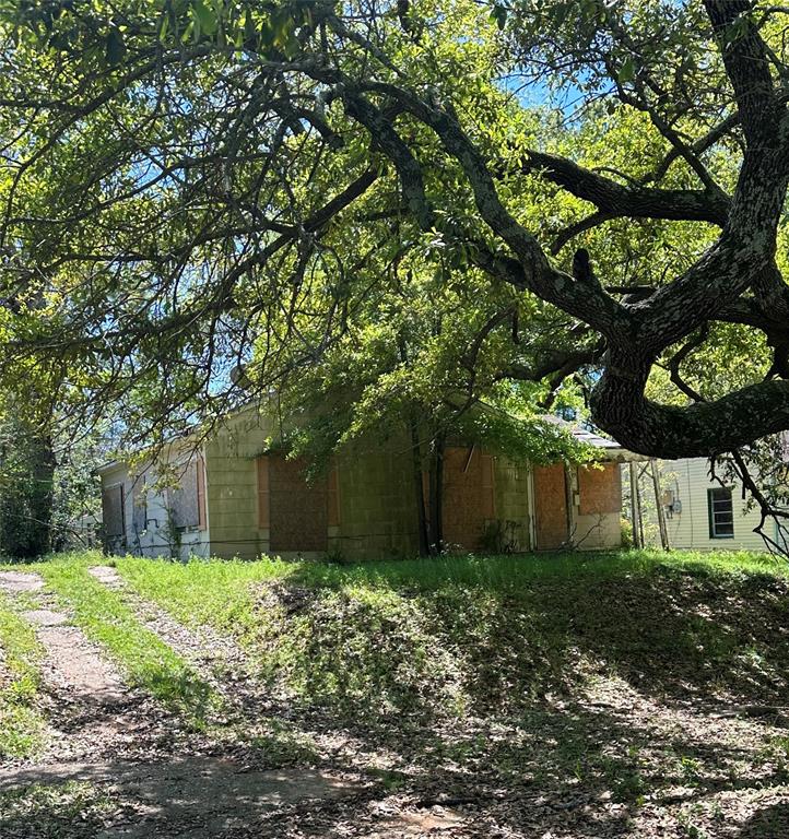 a view of a back yard