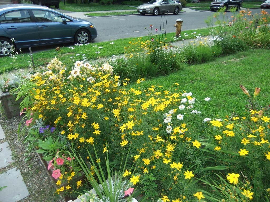 53 Newhall Street Springfield, MA 01109 - Photo 27 of 29 a view of a garden with plants and a bench
