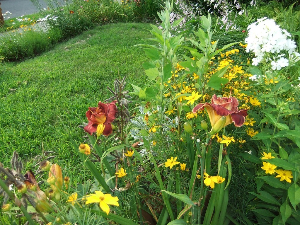 53 Newhall Street Springfield, MA 01109 - Photo 29 of 29 a flower view
