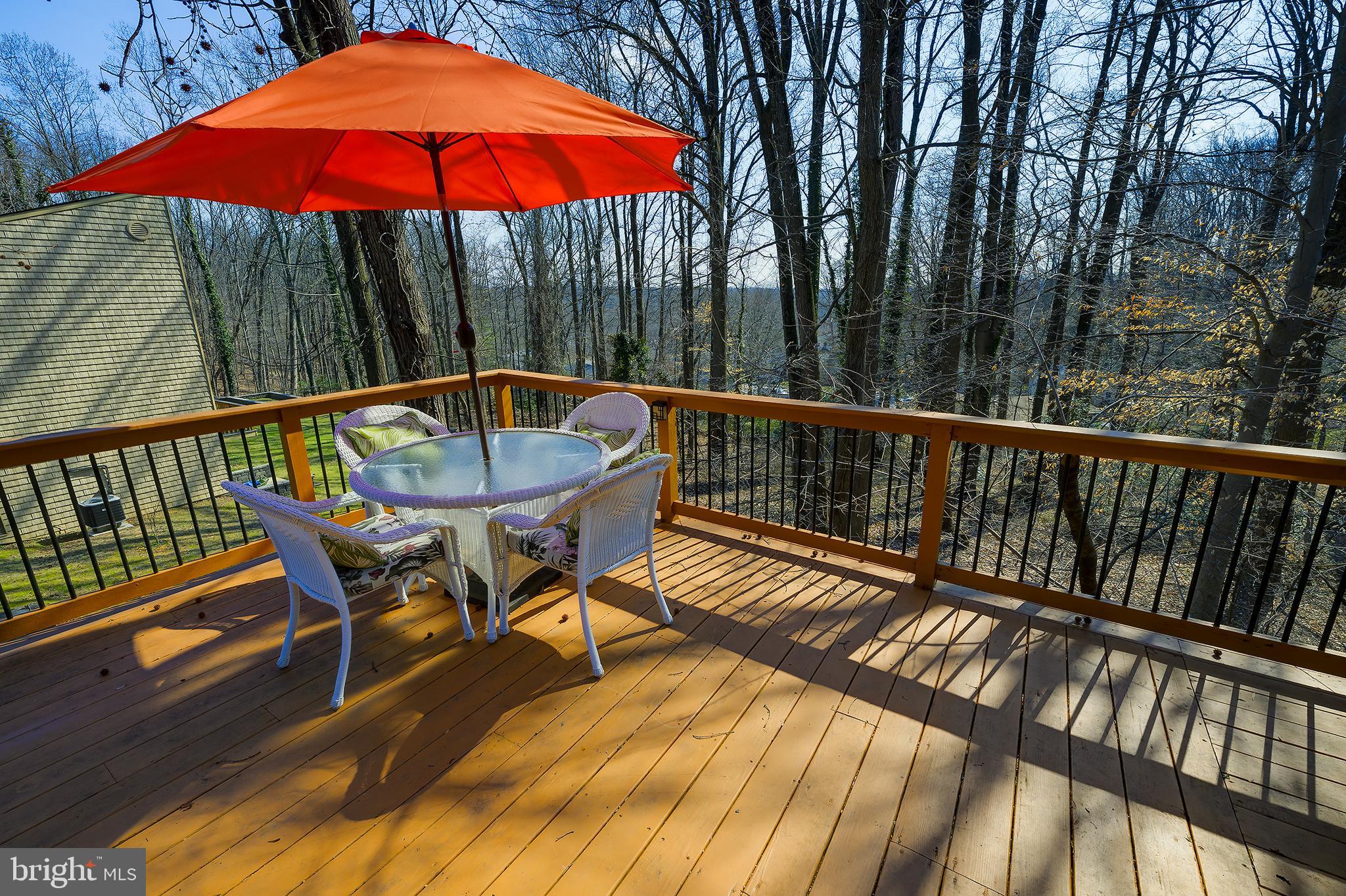 109 Ridge Road Greenbelt, MD 20770 - Photo 66 of 77