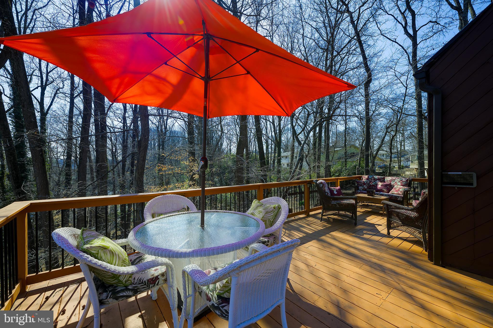 109 Ridge Road Greenbelt, MD 20770 - Photo 68 of 77