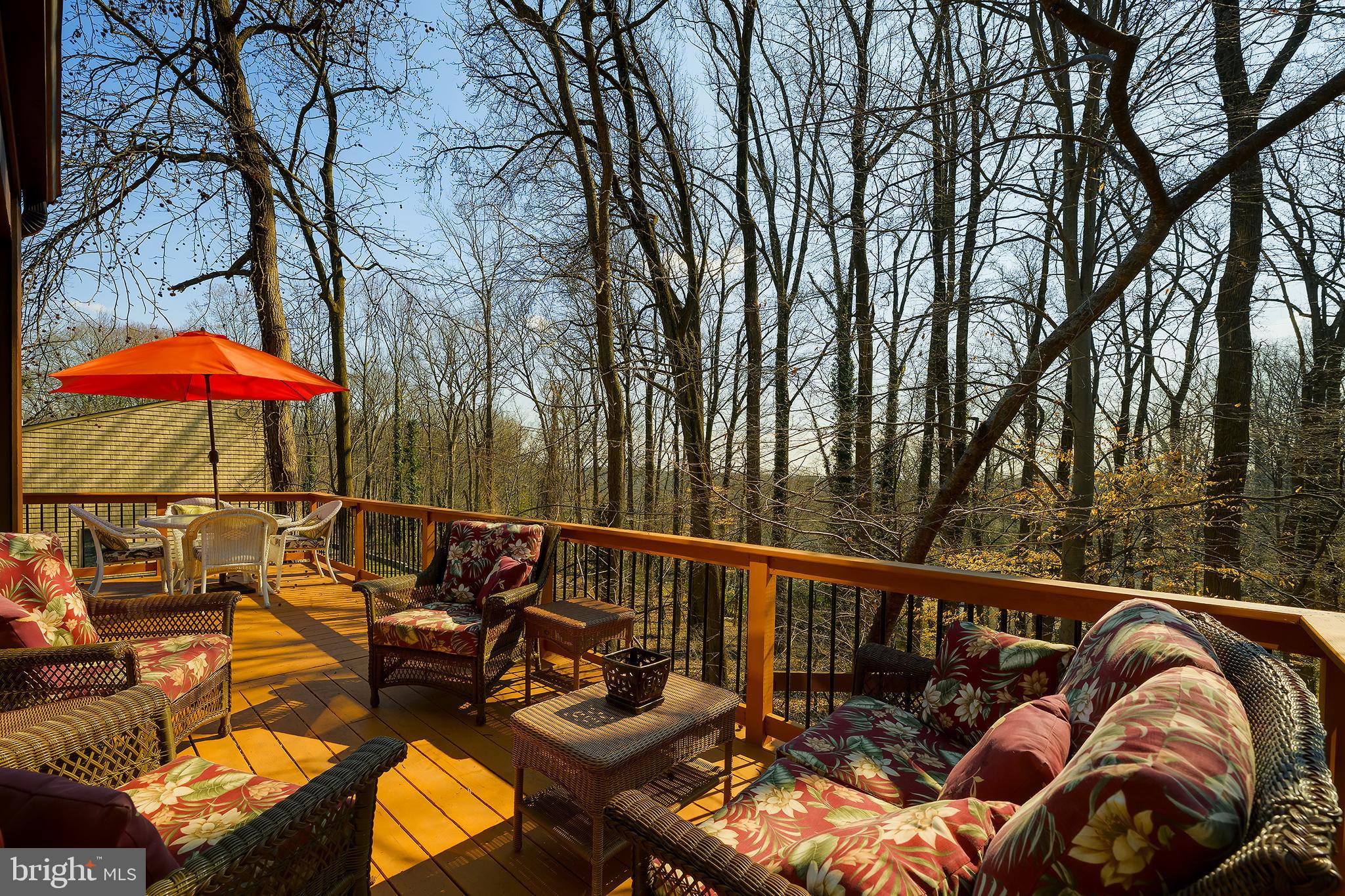 109 Ridge Road Greenbelt, MD 20770 - Photo 73 of 77