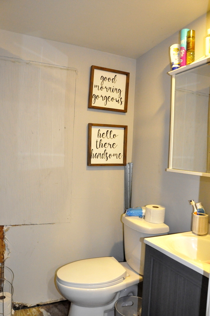 3350 East 2059th Road Ottawa, IL 61350 - Photo 8 of 23 a bathroom with a toilet a sink and a mirror