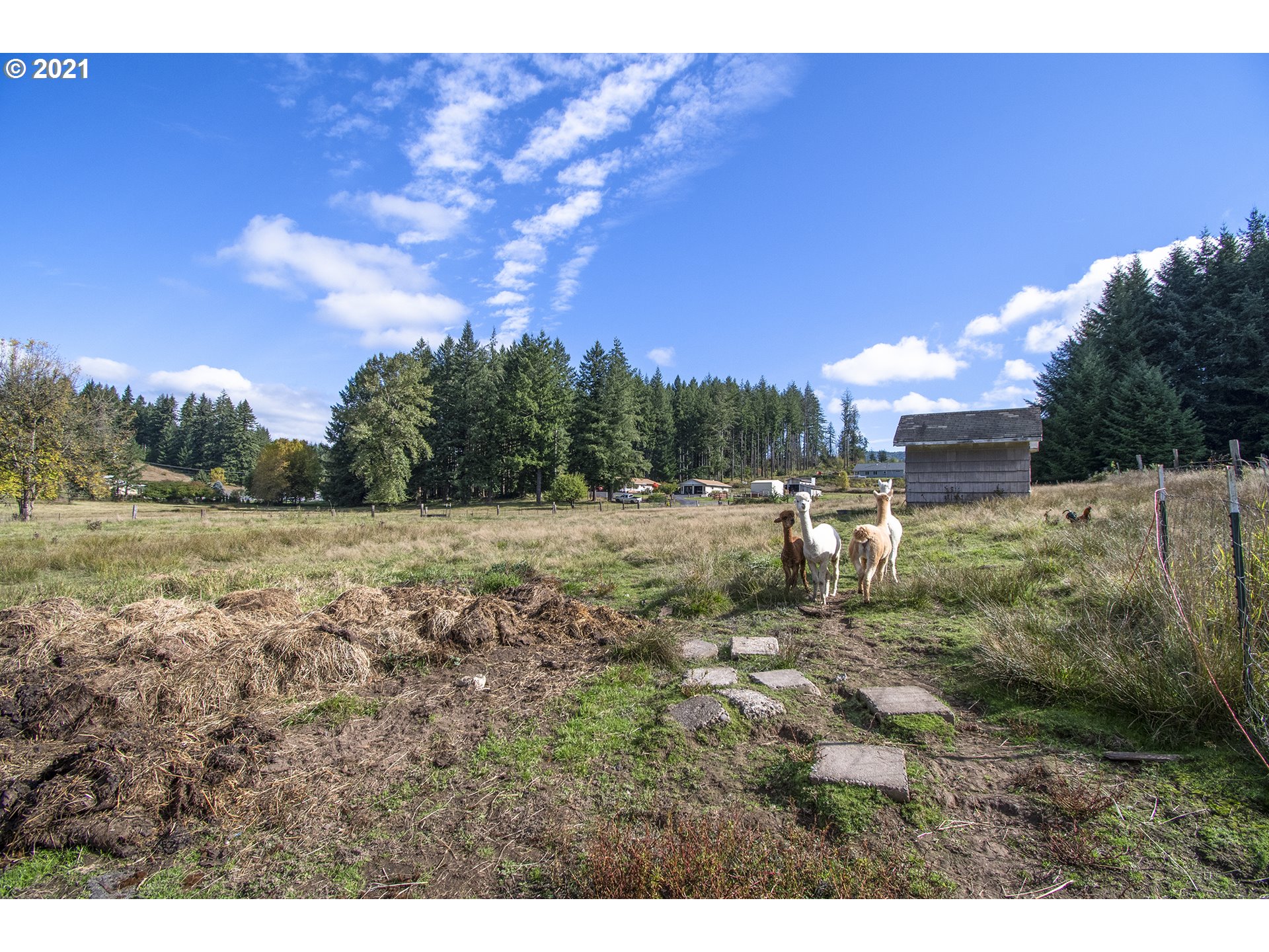 1727 Rose Valley Road Kelso, WA 98626 - Photo 28 of 32 Gallery Image 28