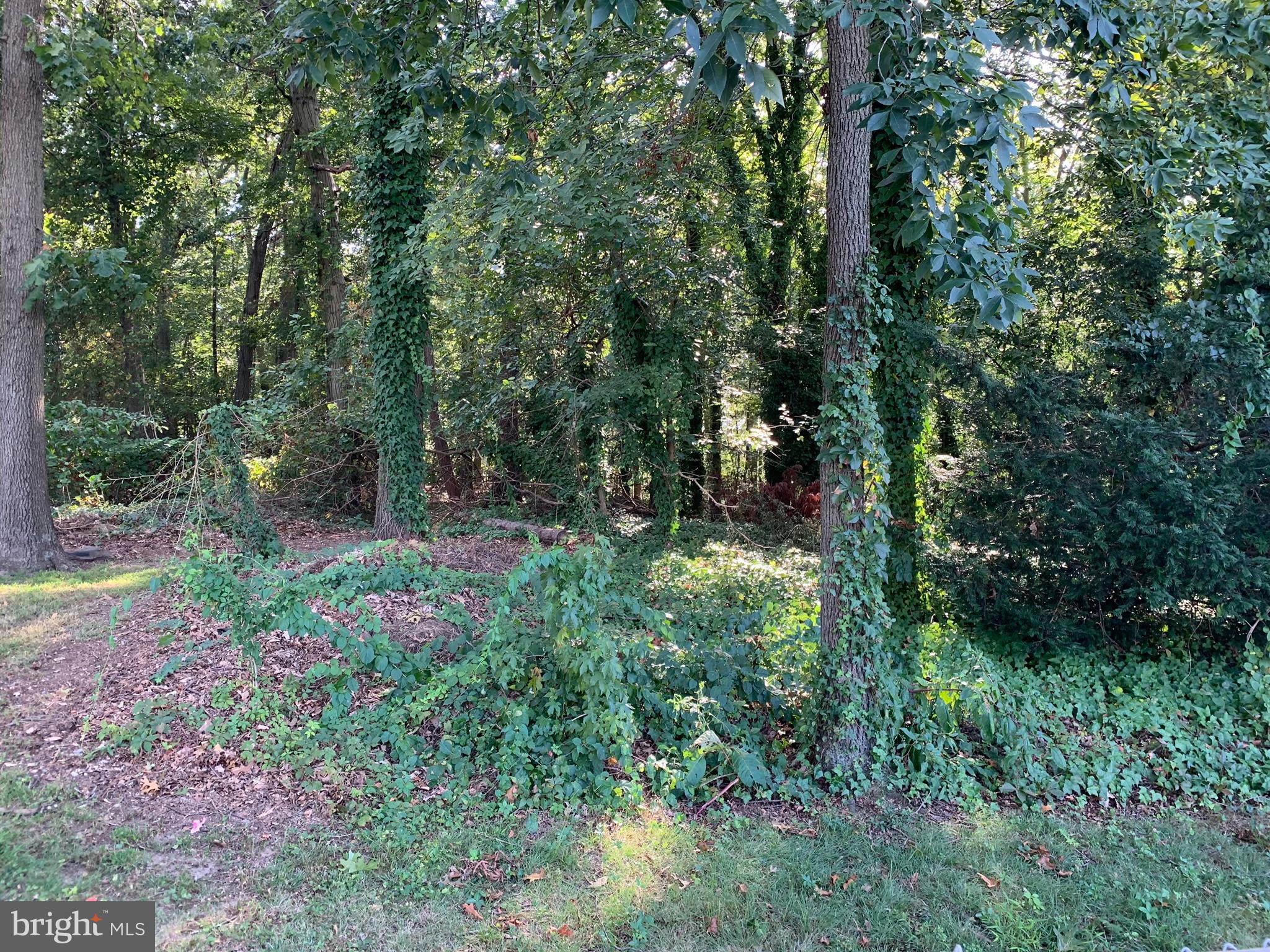 1103 Colony Ridge Road Odenton, MD 21113 - Photo 20 of 22 Backs to woods