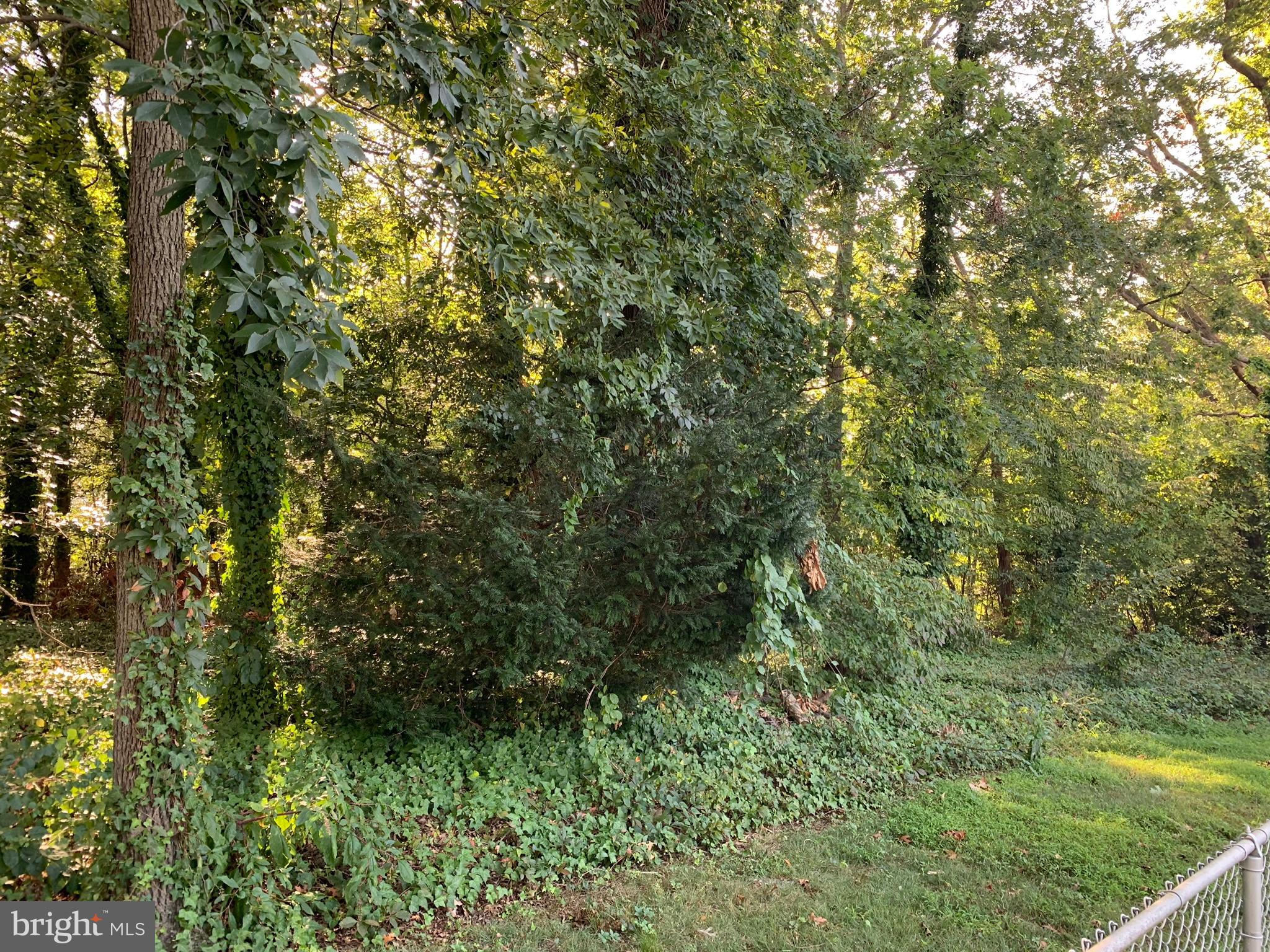 1103 Colony Ridge Road Odenton, MD 21113 - Photo 21 of 22 Backs to woods