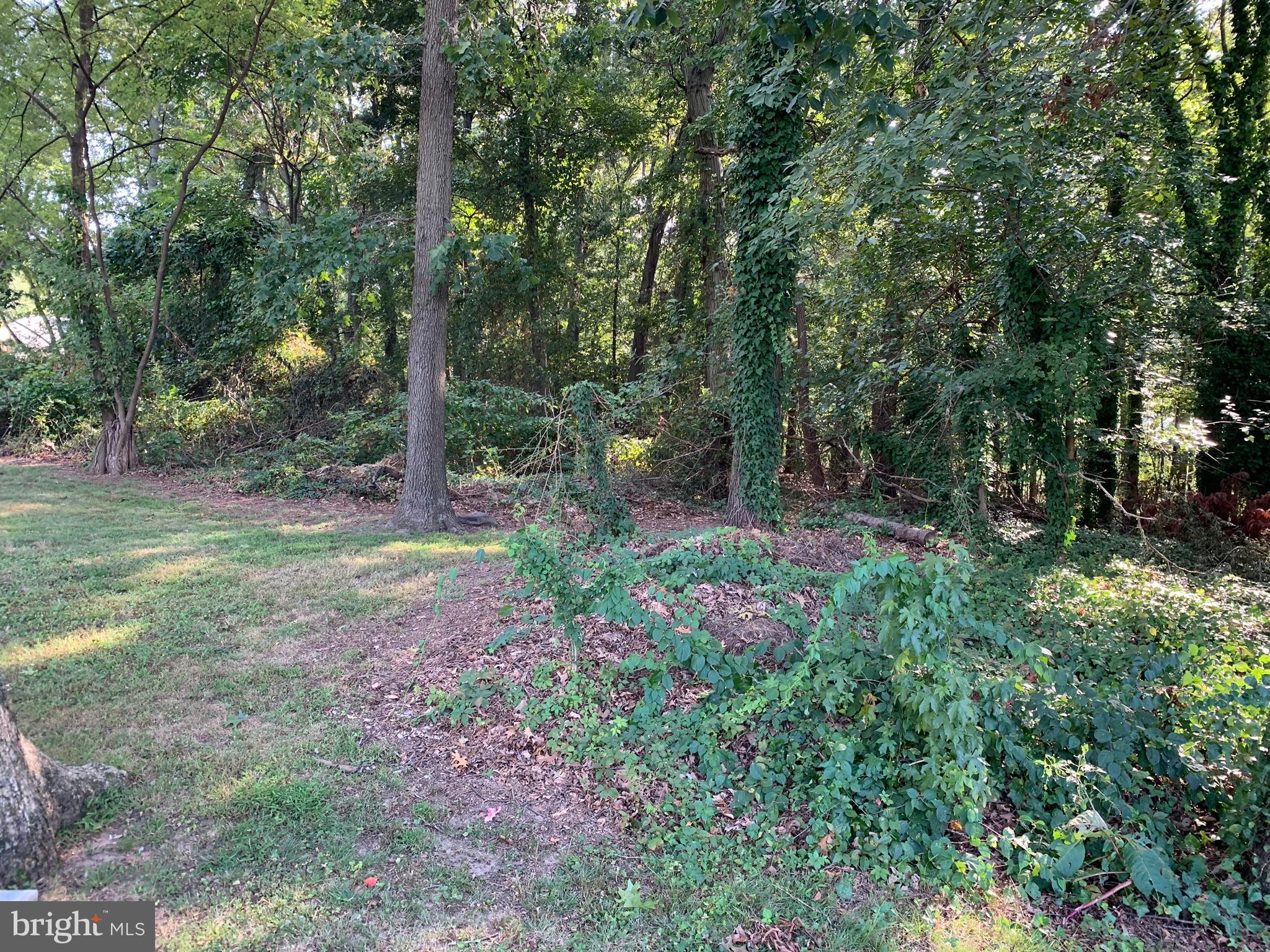 1103 Colony Ridge Road Odenton, MD 21113 - Photo 22 of 22 Backs to woods