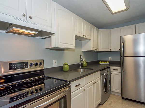 9 Appleton Street, Unit 205 Boston, MA 02116 - Photo 5 of 12