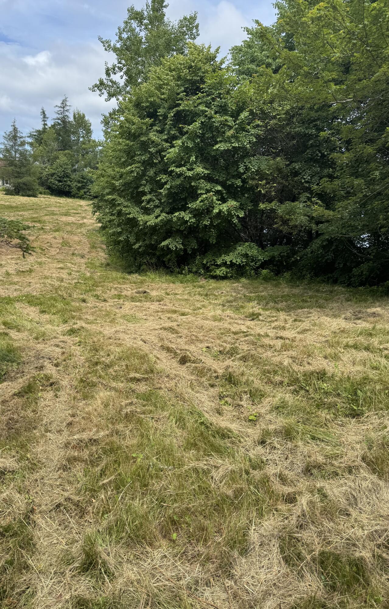 5-054 Bridge Street Deer Isle, ME 04627 - Photo 4 of 4 IMG_4880