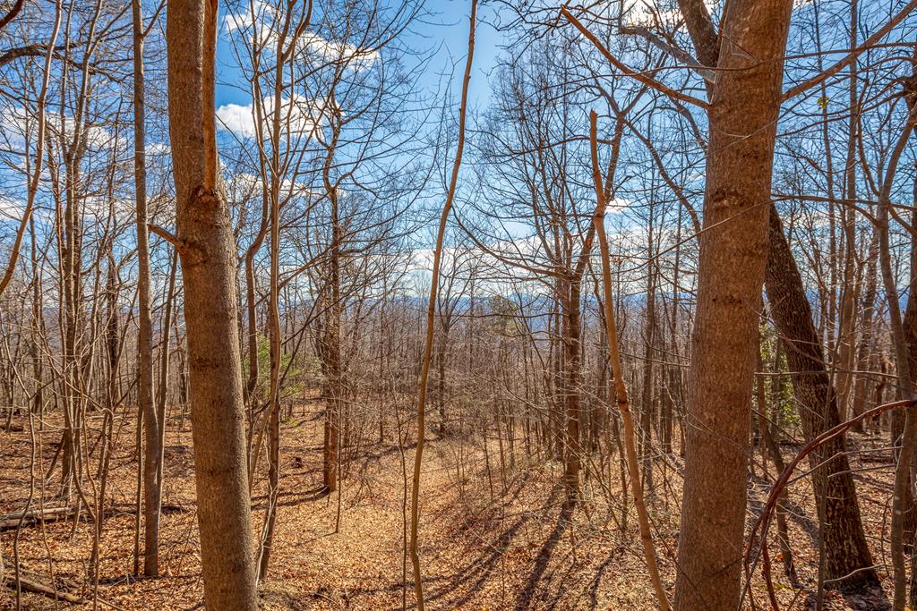 Lot 124 Spring Pond Trail, Unit 124 Fancy Gap, VA 24328 - Photo 1 of 51 Gallery Image 1
