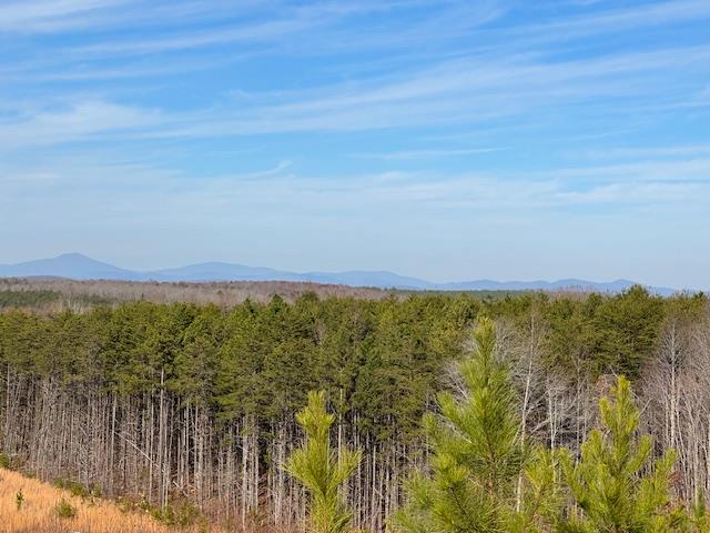 7 Oak Rdg Road Appomattox, VA 24522 - Photo 23 of 25 Gallery Image 23