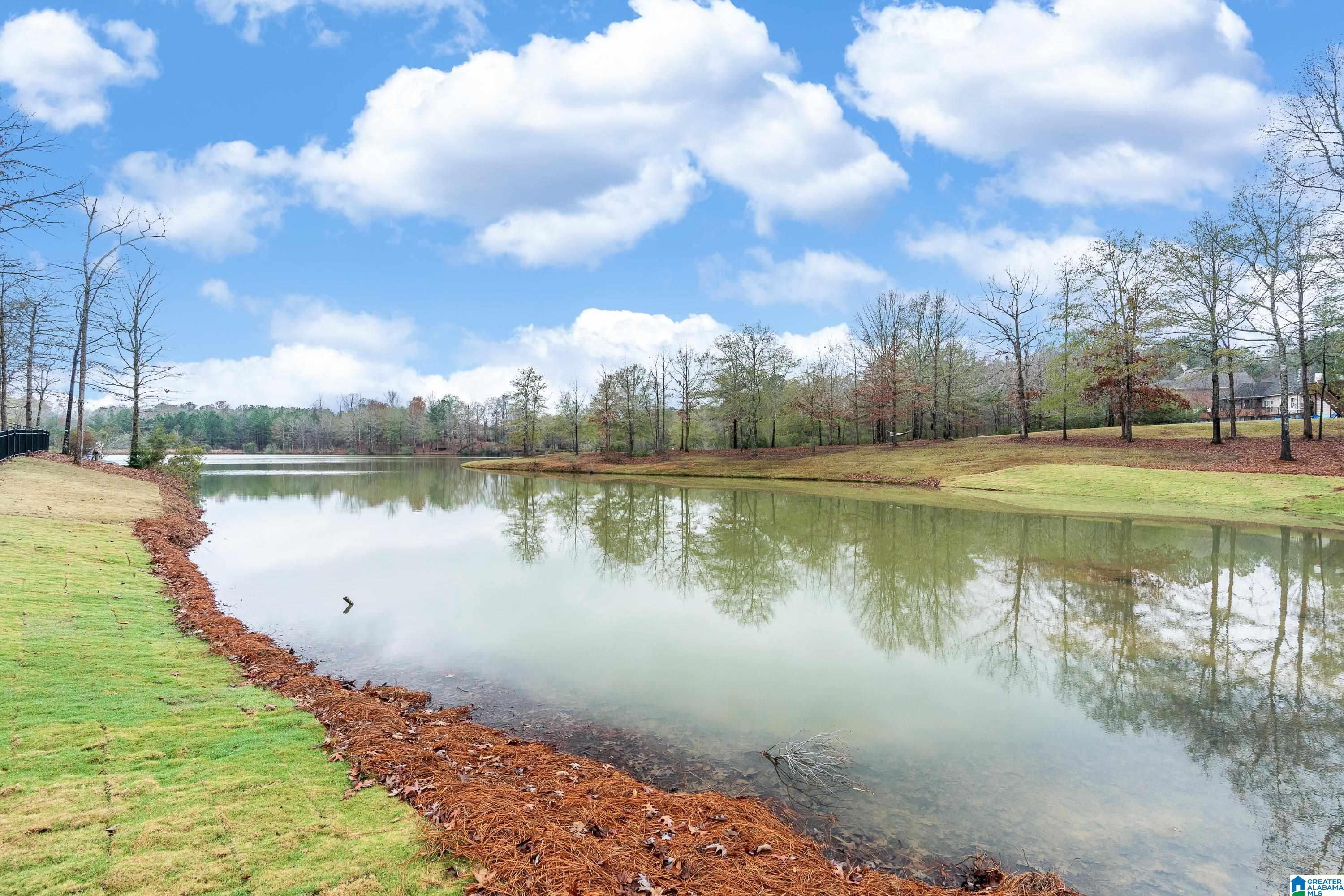 606 Emerald Trace Chelsea, AL 35043 - Photo 50 of 51