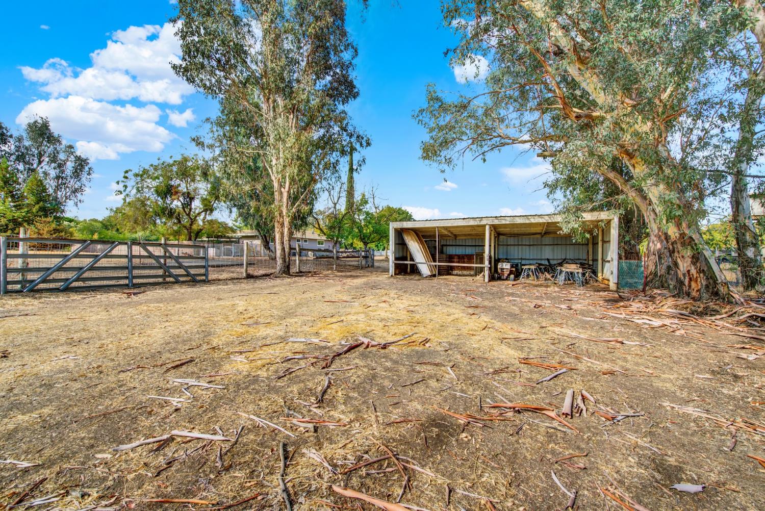 19858 Road 94C Woodland, CA 95695 - Photo 67 of 85 a front view of a house with a yard