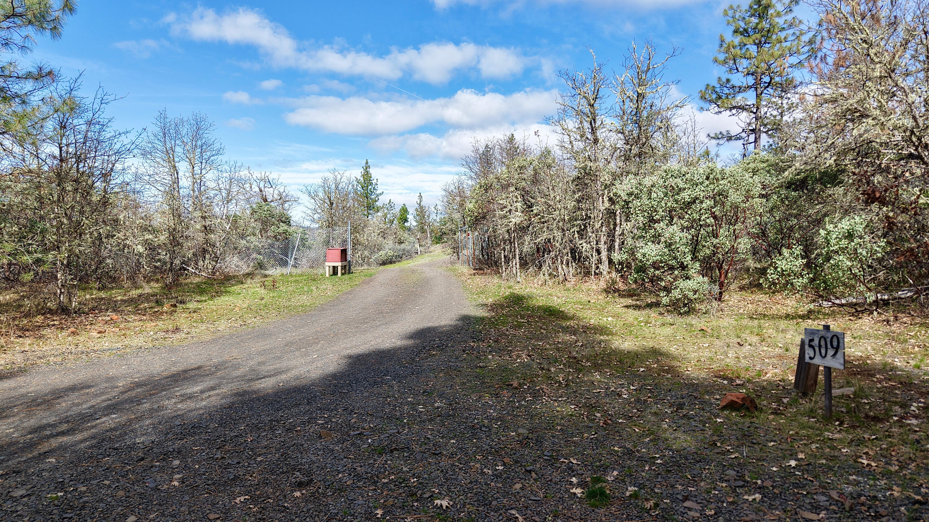 509 Derby Road Eagle Point, OR 97524 - Photo 42 of 49 Driveway