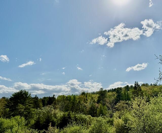 0 Brookside Road Orland, ME 04472 - Photo 2 of 11 IMG_3920