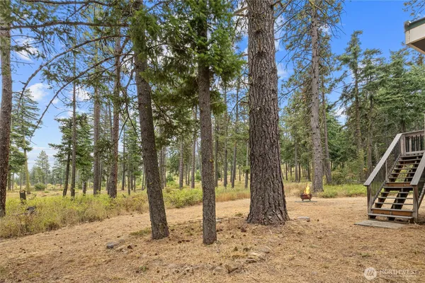 a view of outdoor space with trees