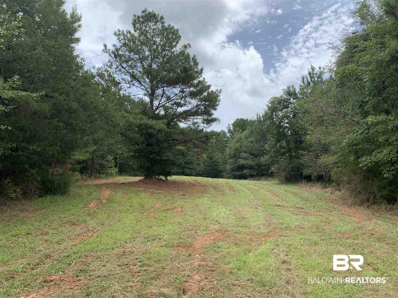 1178 Dry Lake Road Luverne, AL 36049 - Photo 23 of 50