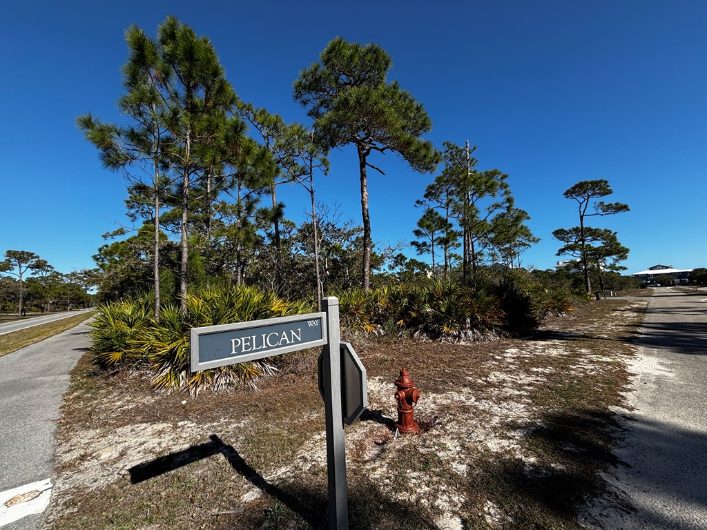 2000 Pelican Way St. George Island, FL 32328 - Photo 8 of 19