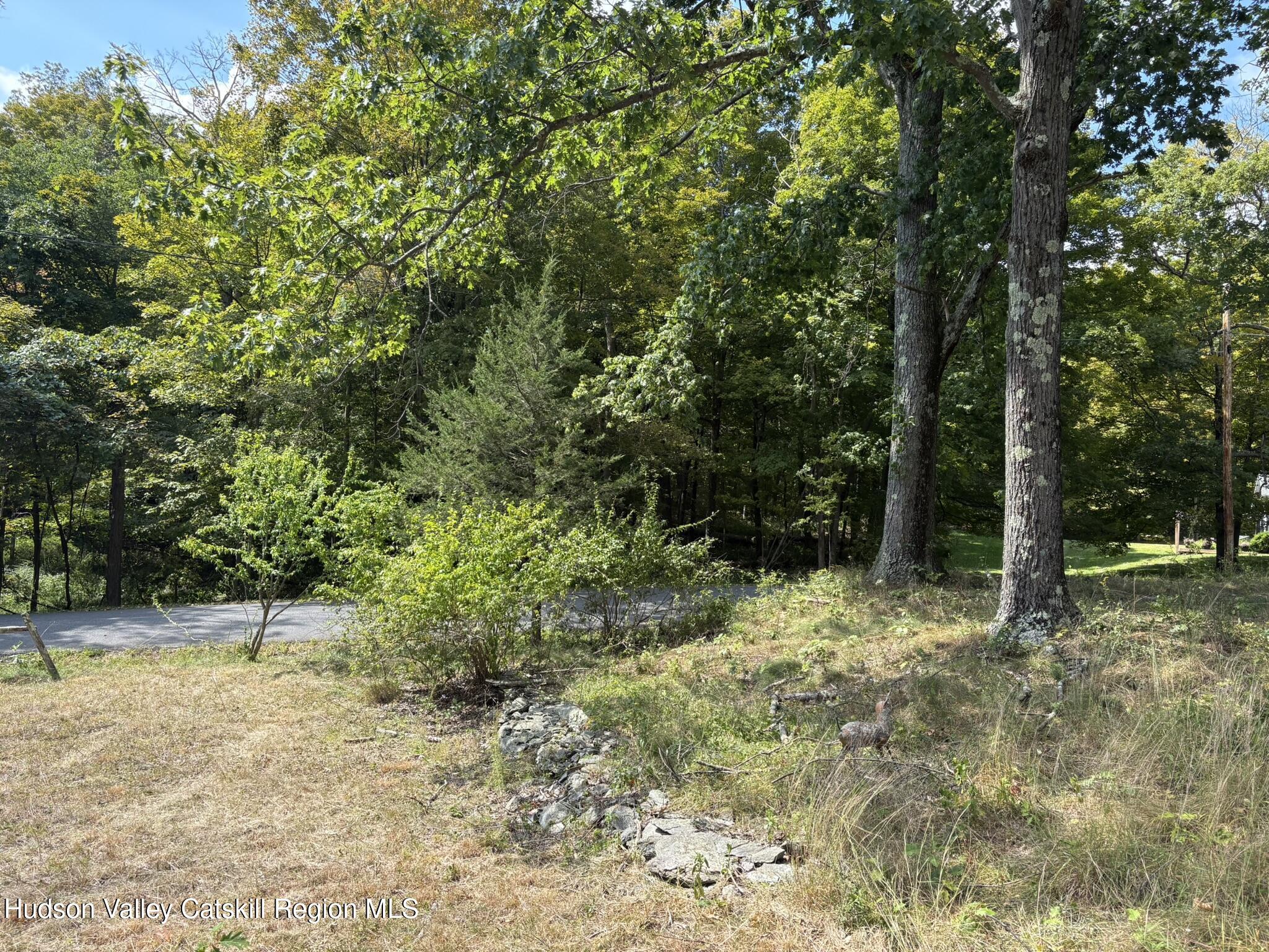42 East Pond Lilly Road Ancram, NY 12502 - Photo 27 of 27 IMG_8383