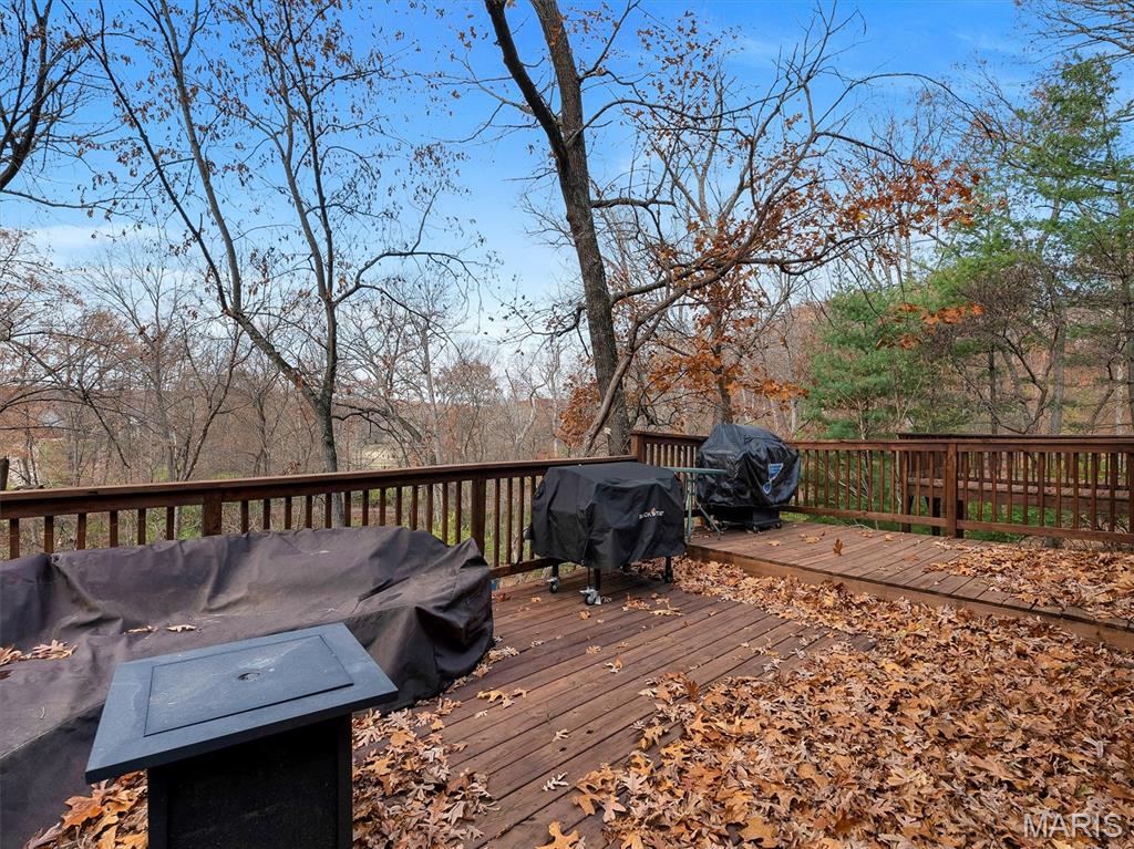 1365 Hillsboro Road High Ridge, MO 63049 - Photo 32 of 39