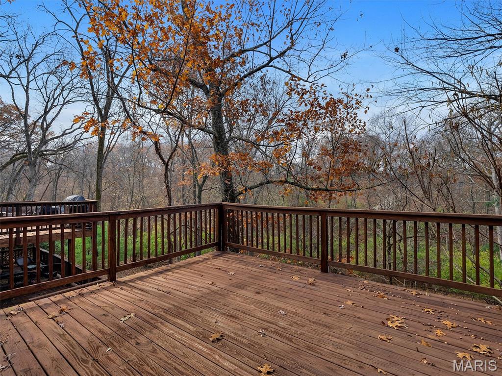 1365 Hillsboro Road High Ridge, MO 63049 - Photo 33 of 39