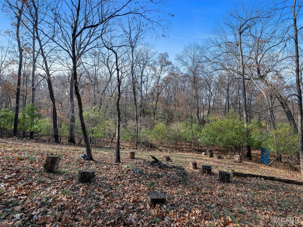 1365 Hillsboro Road High Ridge, MO 63049 - Photo 36 of 39