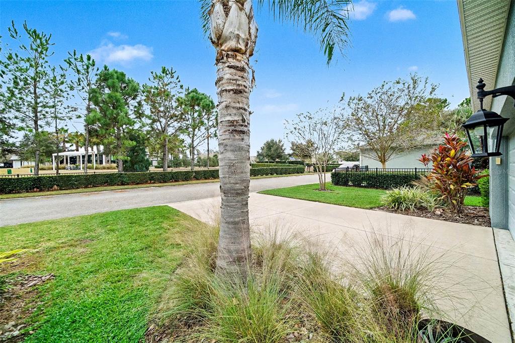 14902 Caravan Avenue Odessa, FL 33556 - Photo 30 of 40 a view of a park with large trees