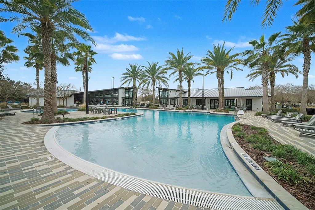 14902 Caravan Avenue Odessa, FL 33556 - Photo 35 of 40 a view of a swimming pool with a lawn chairs under palm trees