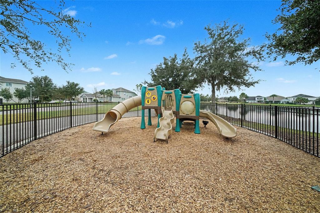 14902 Caravan Avenue Odessa, FL 33556 - Photo 40 of 40 a view of a lake with a slide