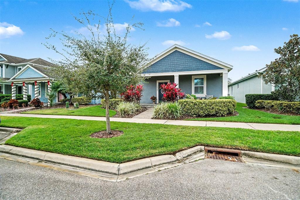14902 Caravan Avenue Odessa, FL 33556 - Photo 5 of 40 a house with garden in front of it