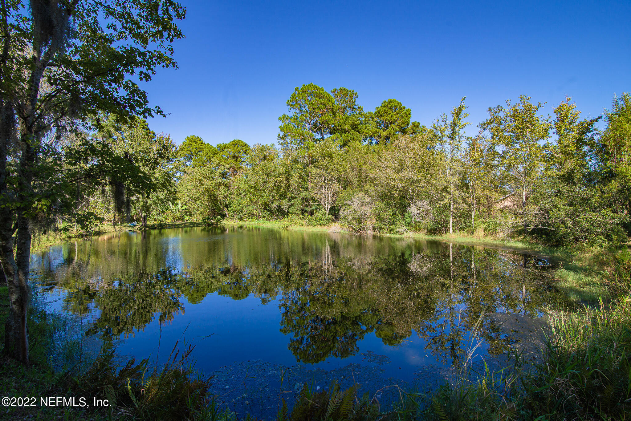 8359 Taylor Field Road Jacksonville, FL 32244 - Photo 20 of 47 DSC_6175