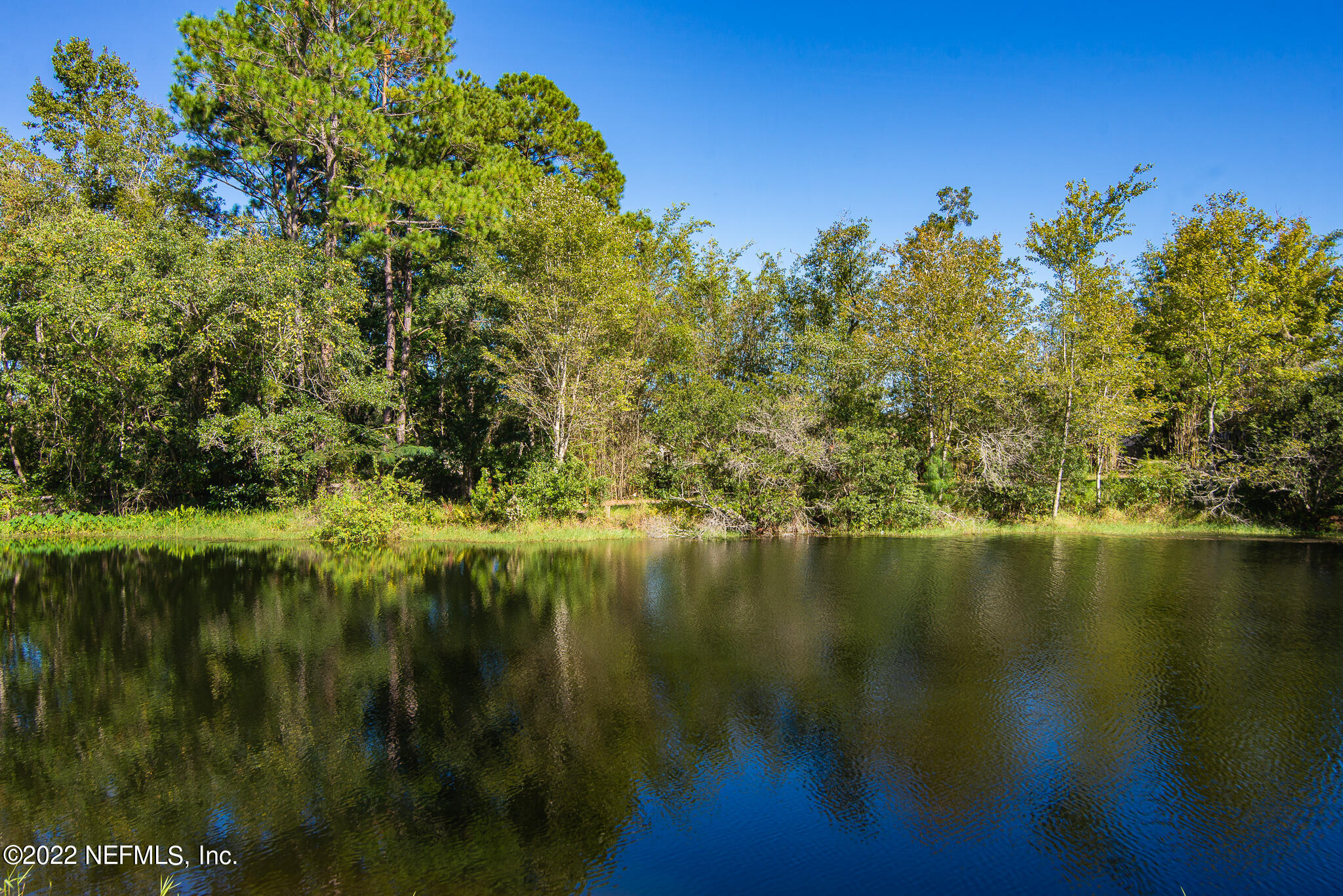 8359 Taylor Field Road Jacksonville, FL 32244 - Photo 23 of 47 DSC_6179