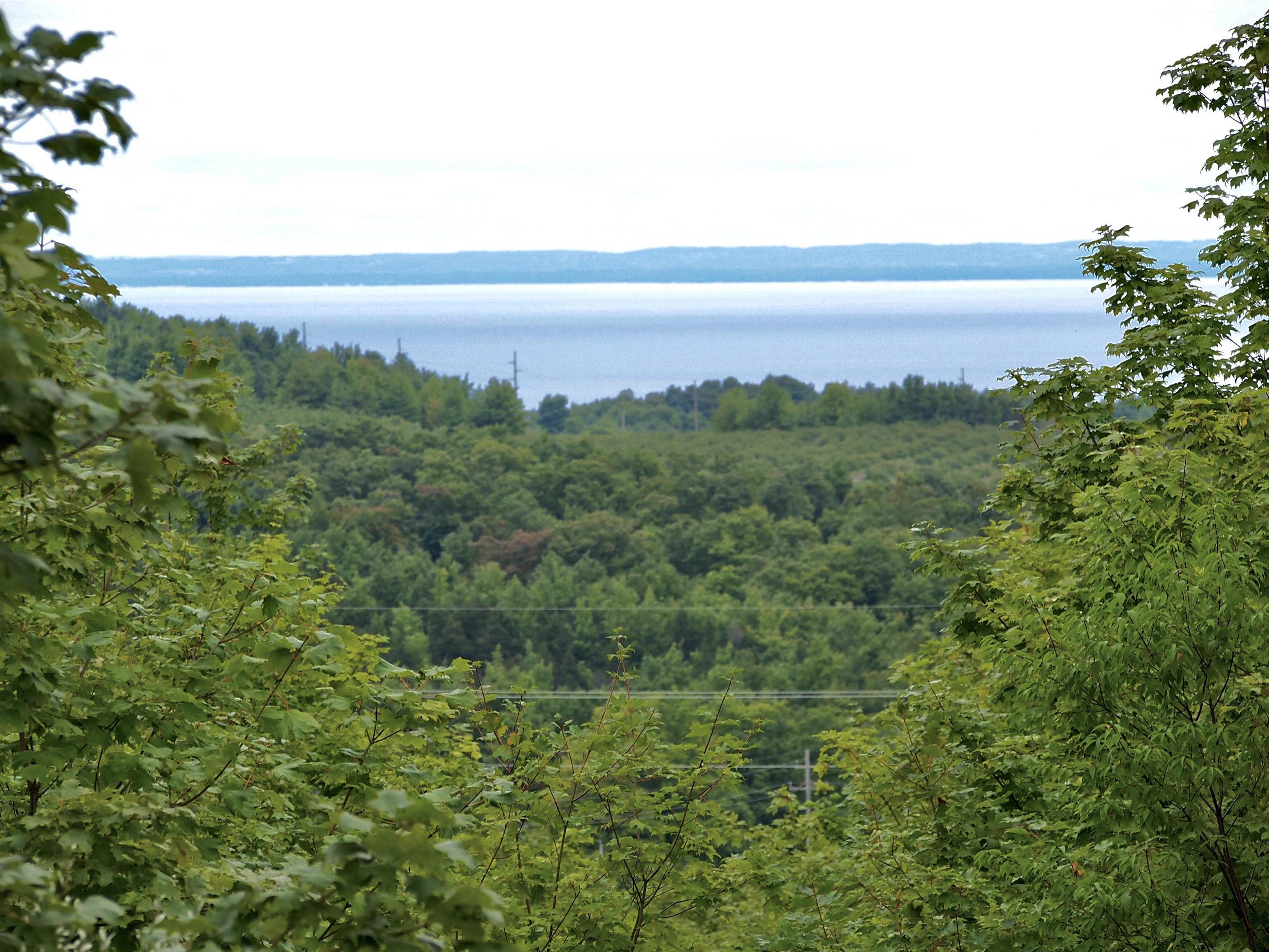 9224 East Duck Lake Road Suttons Bay, MI 49682 - Photo 33 of 63