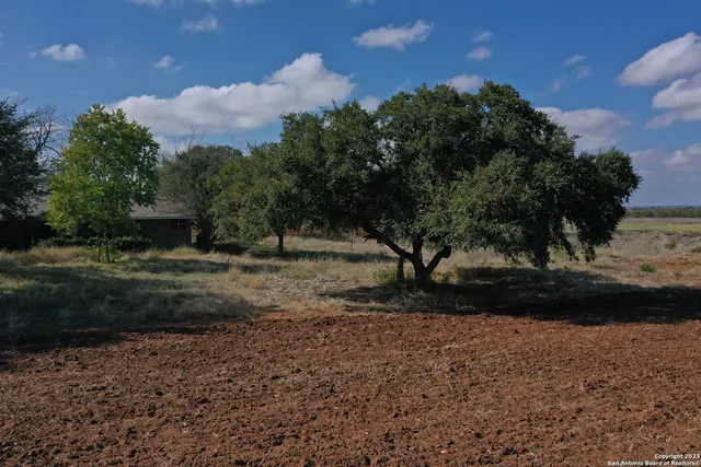 a view of backyard with green space