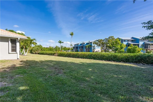 a view of a tree in a yard