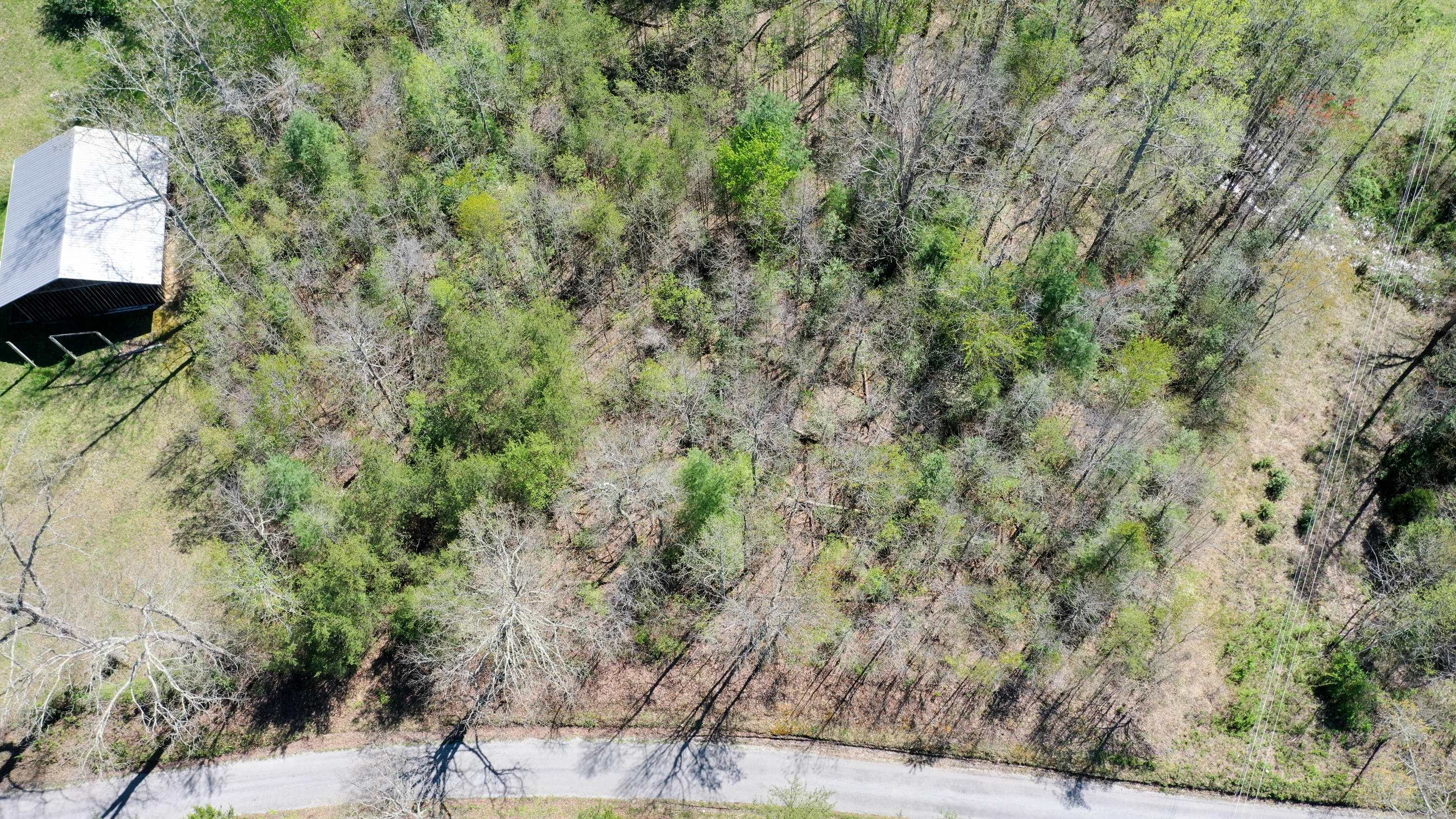 Bart Woolum Road Road Lancing, TN 37770 - Photo 2 of 8 DJI_0166