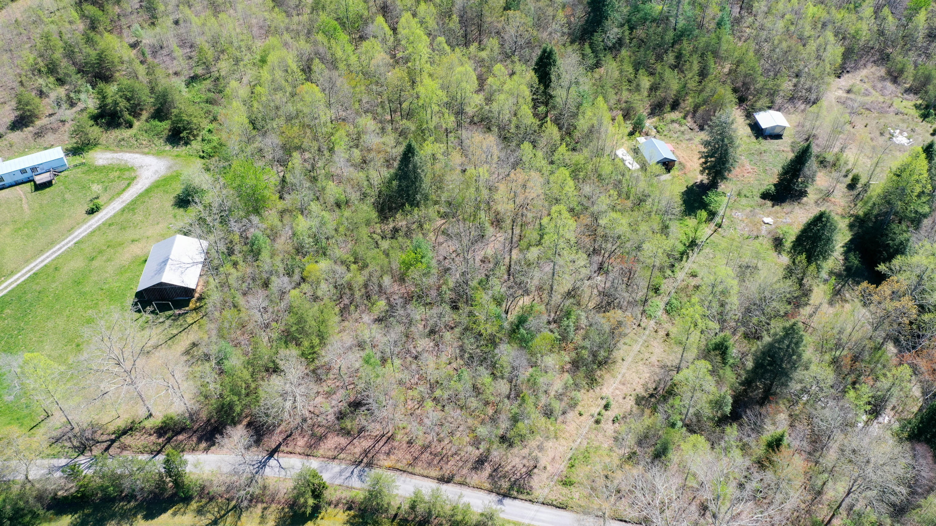 Bart Woolum Road Road Lancing, TN 37770 - Photo 3 of 8 DJI_0162