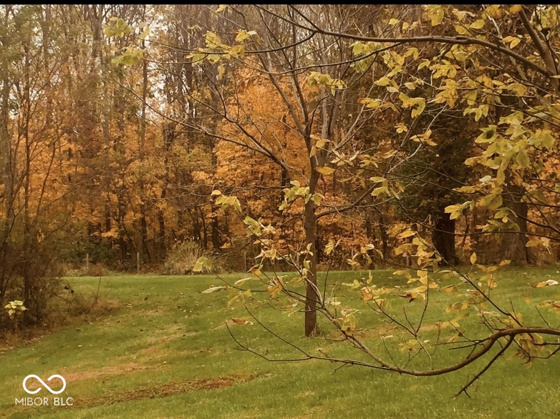 9700 North Bowman Road Gosport, IN 47433 - Photo 7 of 10