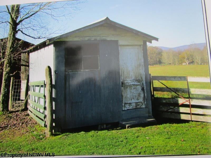 Gallery Image 7