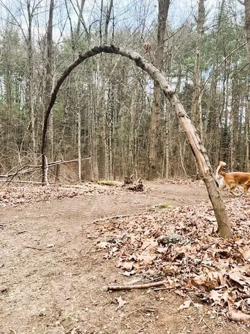a view of outdoor space with wooden floor and outdoor seating