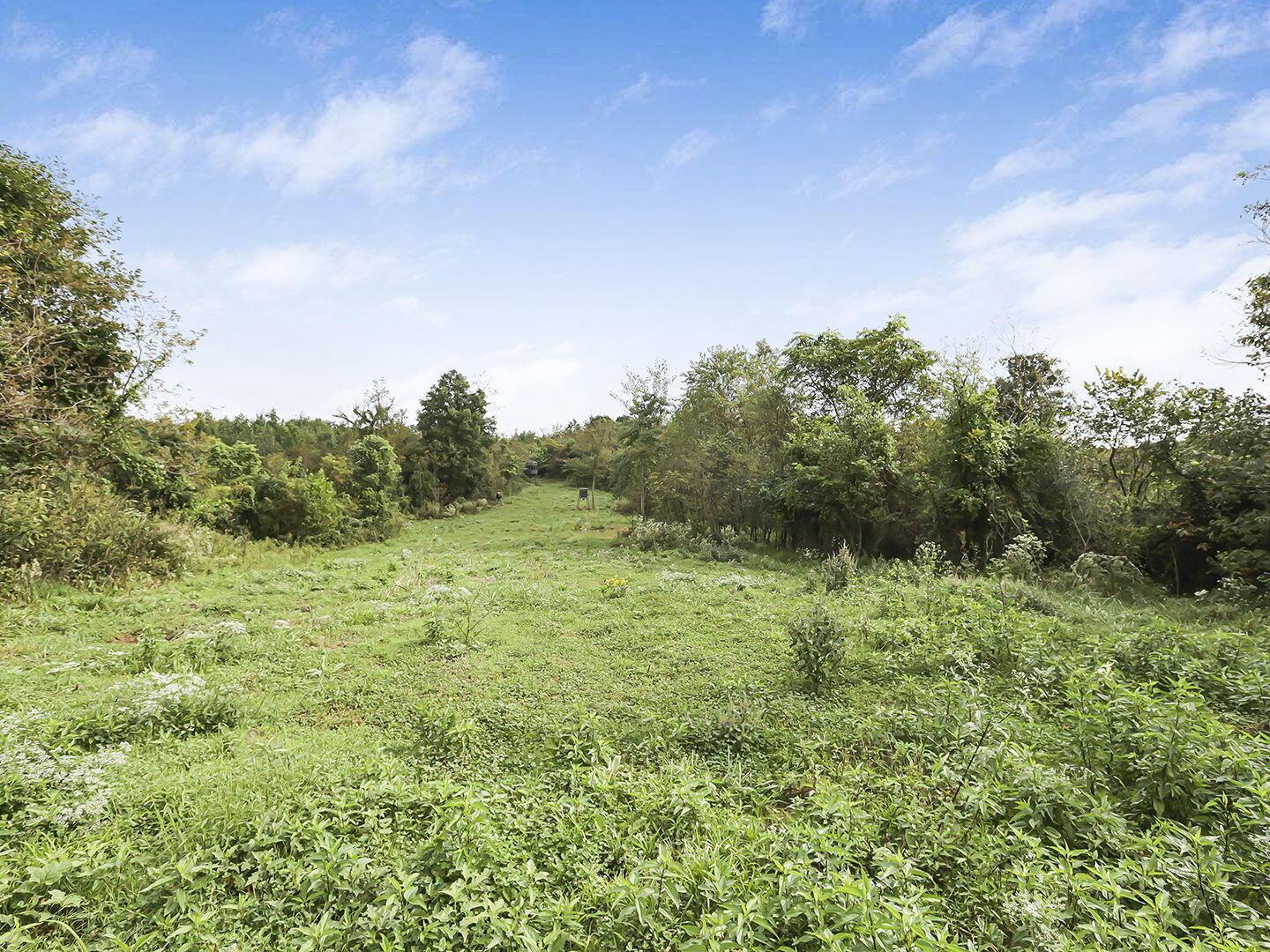 0 Cr E Road Pomeroy, OH 45769 - Photo 23 of 82 31-web-or-mls-0V3A7074