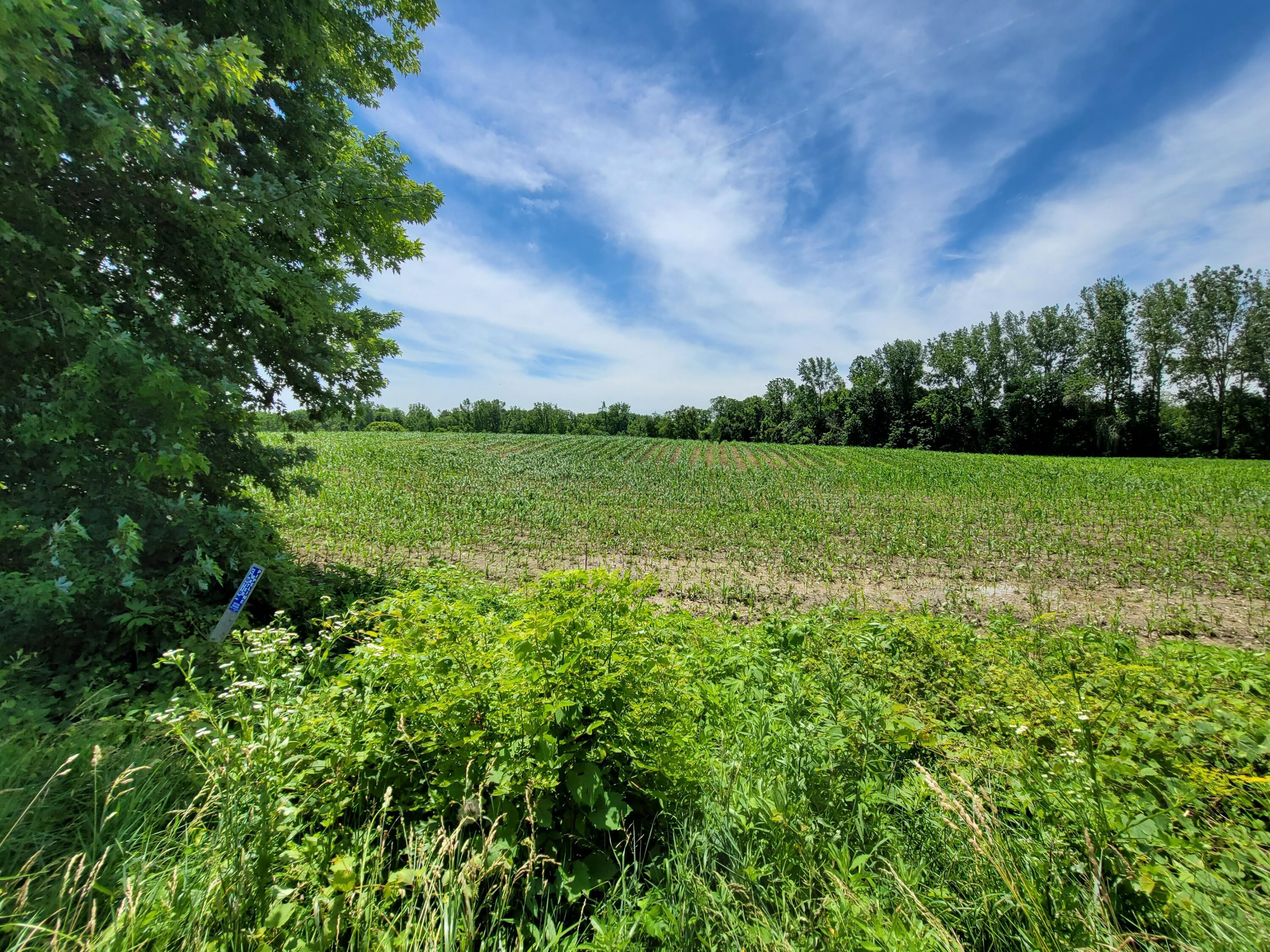 2 Co 23 Rd Mount Mount Gilead, OH 43338 - Photo 2 of 14 2