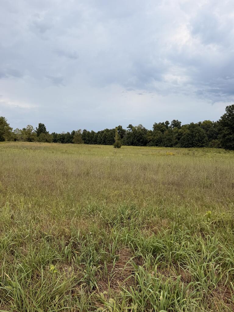 29410 Dooley Road Keytesville, MO 65261 - Photo 2 of 7 Gallery Image 2