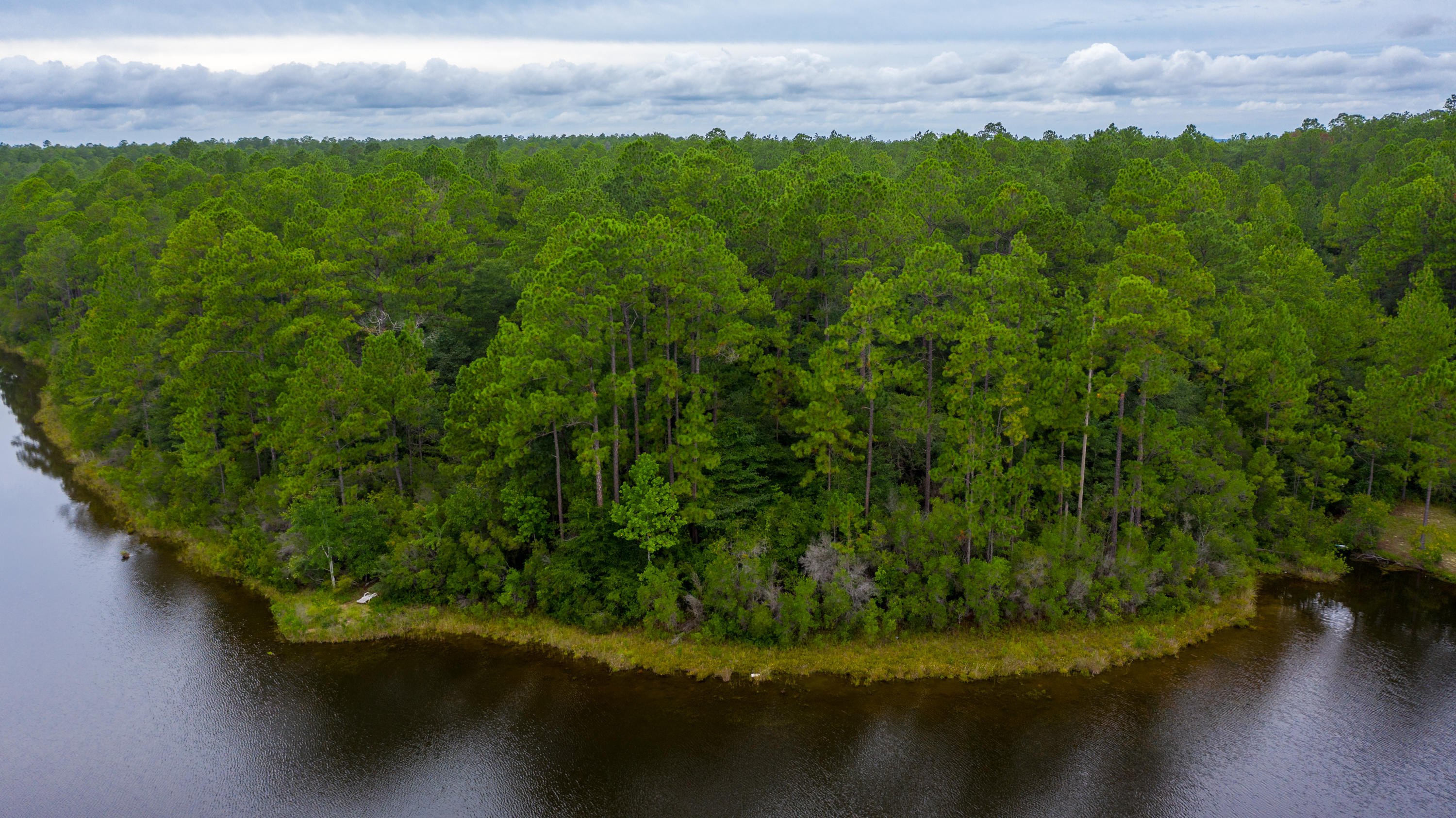 2.81-ac Xx Fawn Lake Road Crestview, FL 32539 - Photo 5 of 10 Fawn Lake Rd Aerial-10