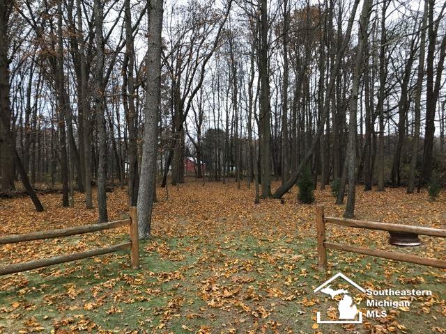 9823 Summerfield Road Temperance, MI 48182 - Photo 21 of 26 31365266-20.JPG
