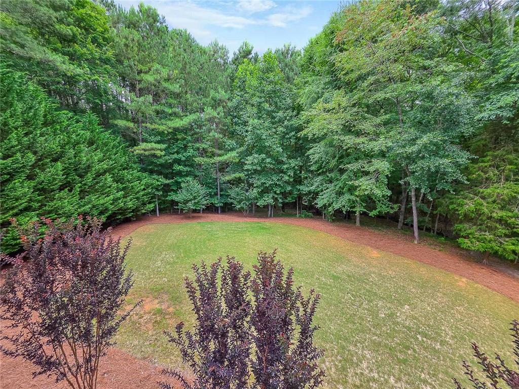 43 Ivy Mist Lane Acworth, GA 30101 - Photo 34 of 58 a view of a lake in a forest