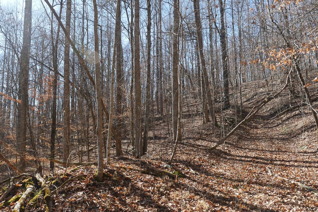 Tbd Tbd Dean Road Rose Hill, VA 24281 - Photo 33 of 97 Gallery Image 33