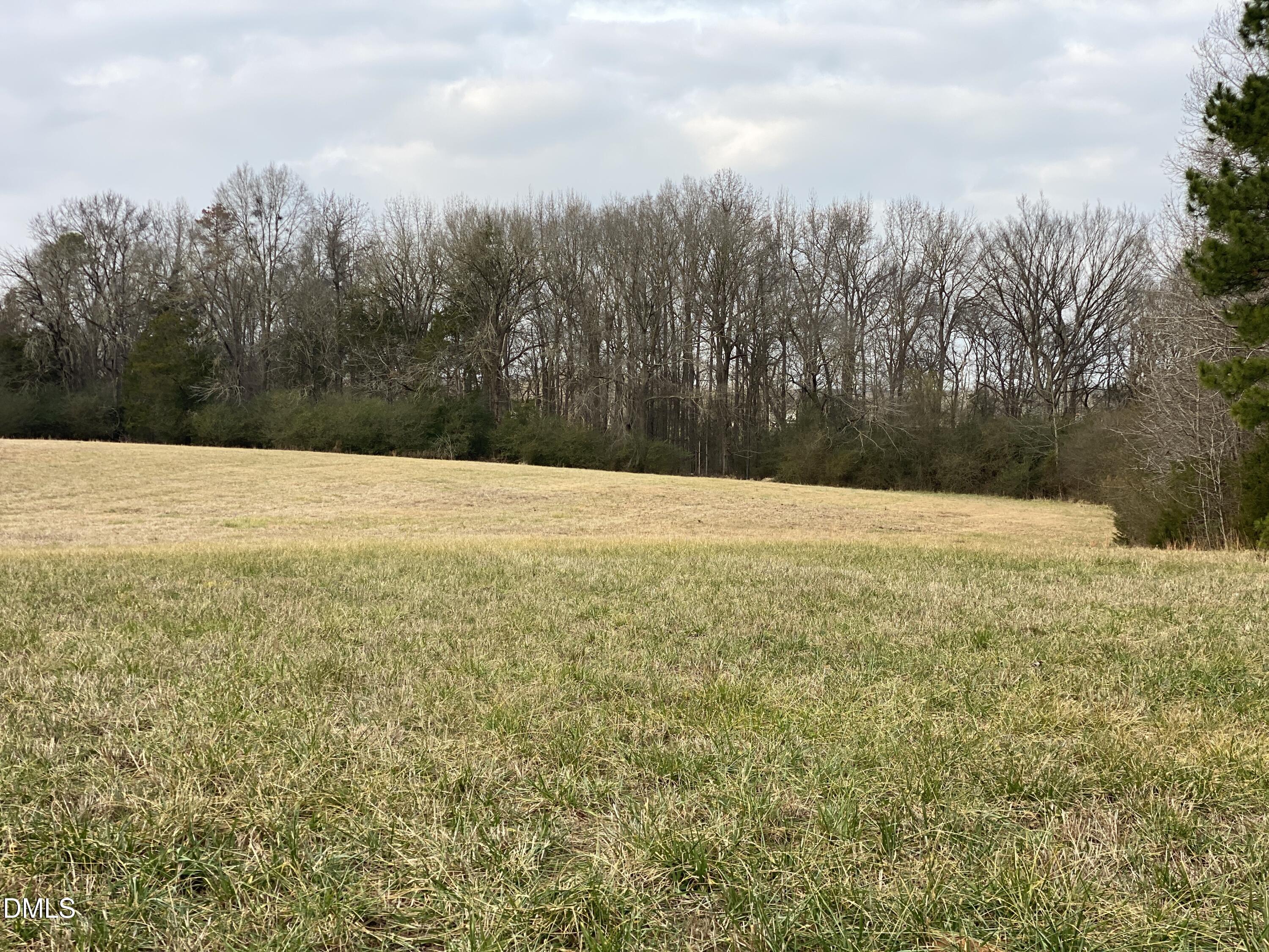 7157 Joe Branson Road Bennett, NC 27208 - Photo 2 of 25 IMG_8497