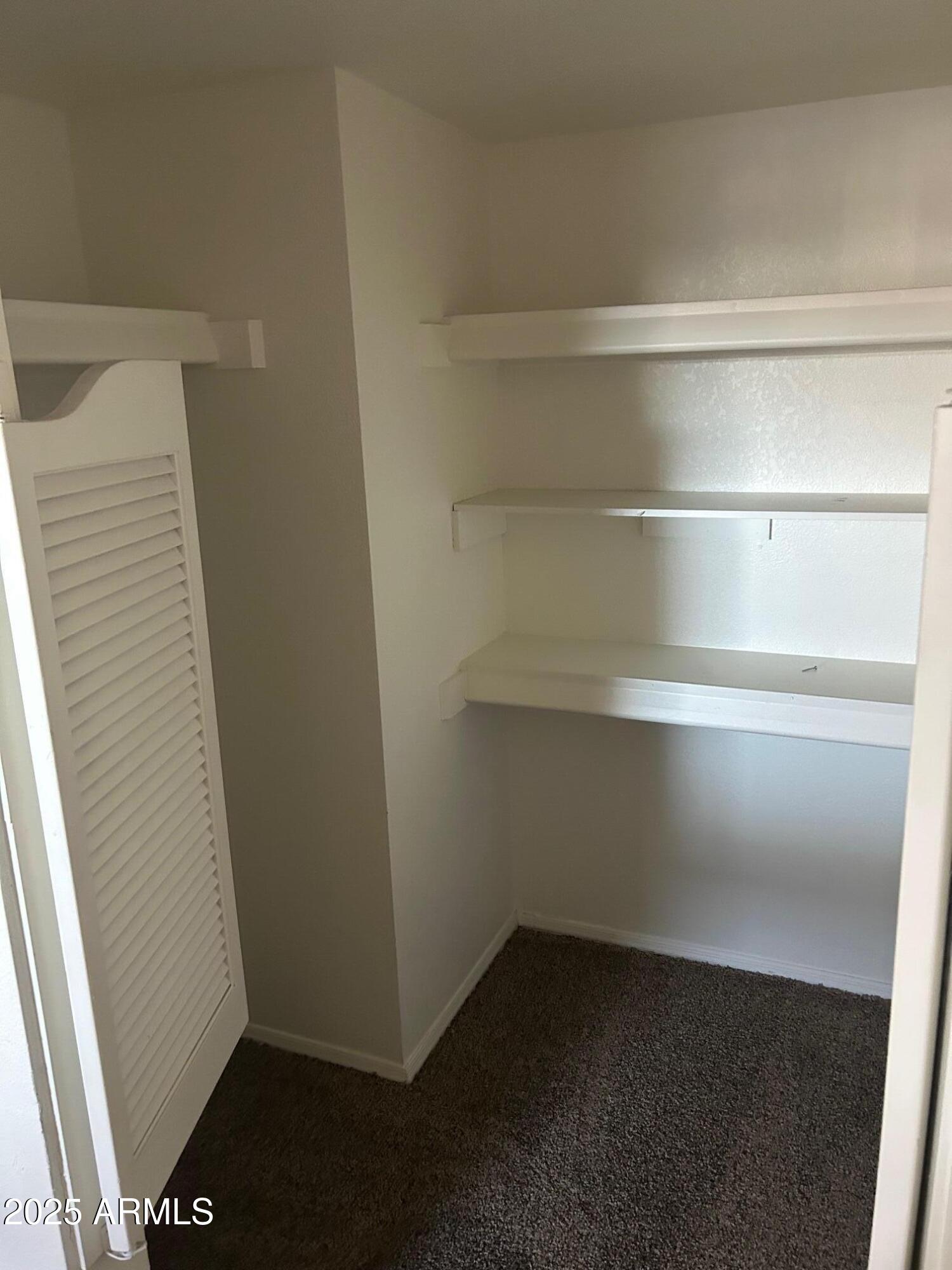 1645 West Baseline Road, Unit 1079 Mesa, AZ 85202 - Photo 16 of 19 a view of walk in closet with empty racks