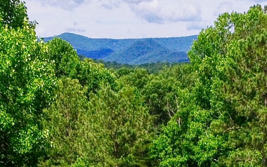 24.89 Camp Creek Road Ellijay, GA 30536 - Photo 2 of 37 Additional View